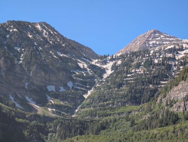 Timp